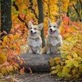 Zwei Hunde im Wald